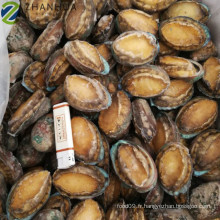 Abalone congelé d&#39;élevage de bonne qualité Fournisseur chinois